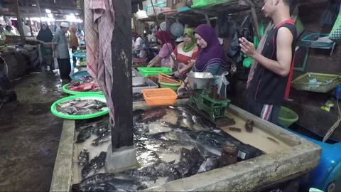 Women Fishmongers butchering fish, Food ... | Stock Video