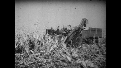 Women Harvesting and Processing Corn 1940s Farming Stock Video Vídeos de archivo 105878563