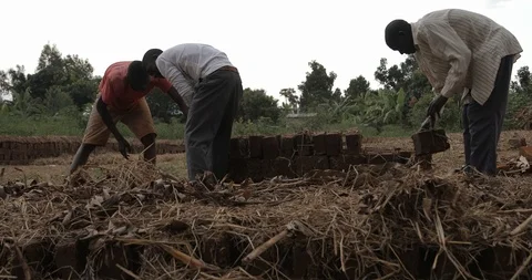 Women make Bricks, pressing mud mixture into an open timber frame, Mbale, Uganda Stock Footage 109492782