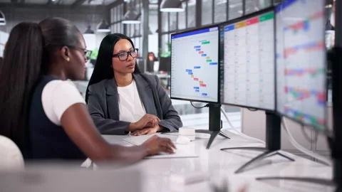 Women In Office Working On Project Schedule Stock Footage 334923687