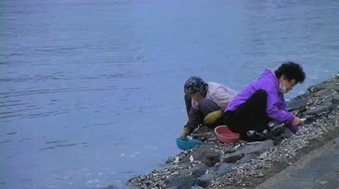 Women open shells Stock Footage 8907987