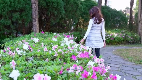 Women in park Stock Footage 245886141