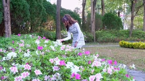 Women in park Stock Footage 245886163