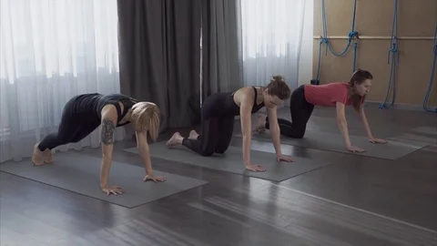 Women perform a complex of asanas, one of the exercises called Santolanasana Stock Footage 73884899