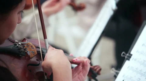 Women playing stringed instruments violin, cello Stock Footage 60034089