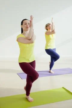 Women practicing the eagle pose Stock Photos