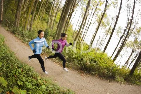 Women Running on Forest Trail, Seattle, Washington, USA Stock Photos