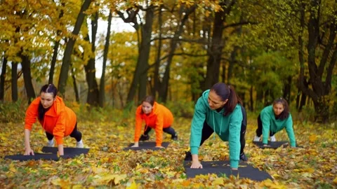 Women smiling while doing push ups on yoga mats in the woods Stock Footage 267845682