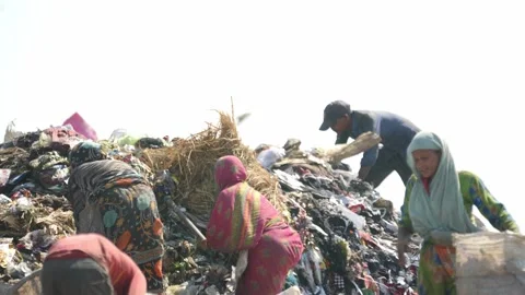Women Sorting Recyclable Waste On Garbage Mountain In New Delhi, India Stock Footage 248056362