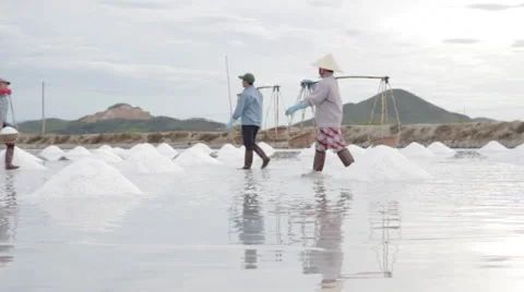 Women Transporting Salt Stock Footage 42392645