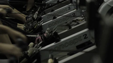 Women using rowing machines Stock Footage 49491599