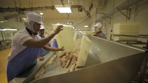 Women Workers In A Tuna Processing Plant Stock Footage 60932335