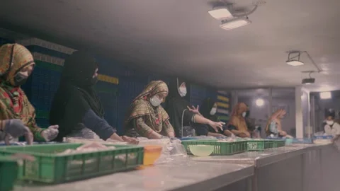 Women working in fish processing factory in karachi pakistan Stock Footage 320667786