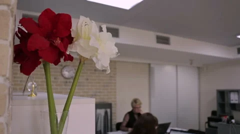 Women working in the office at the computer Stock Footage 51446174
