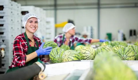 Women working in vegetable processing factory, controlling process of peeling Stock Photos