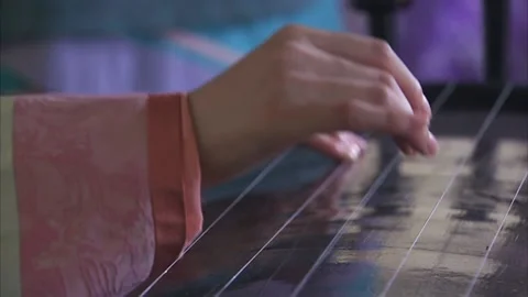 Women's aficionado Stock Footage 235277169