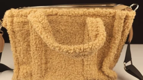 Women's Bag Close Up Stock Footage 297774136