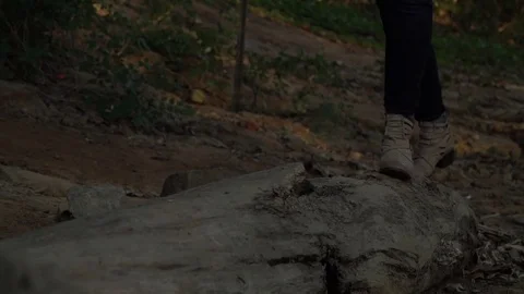 Womens in boots walks on fallen tree log Stock Footage 83761926