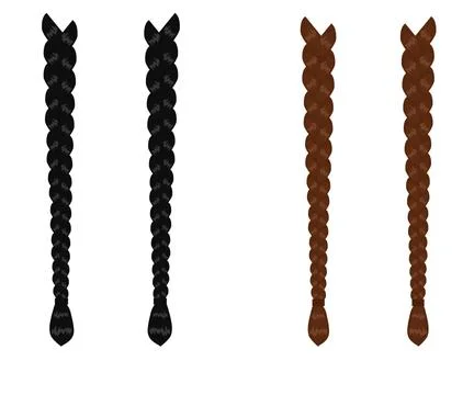 Women's braids on a white background. An object. Vector. Stock Illustration