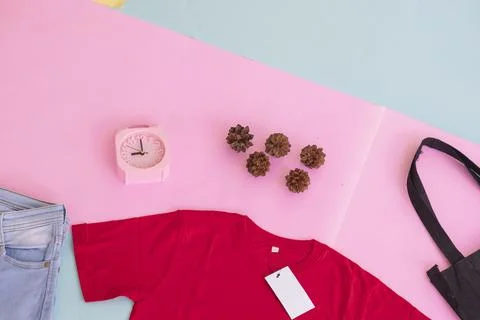 Women's clothing basic layout, Red T-shirt on pale mint pastel background. Li Stock Photos