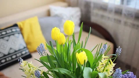 Womens Day, 8 March present. Pot with blooming spring yellow flowers and card Stock Footage 149080983