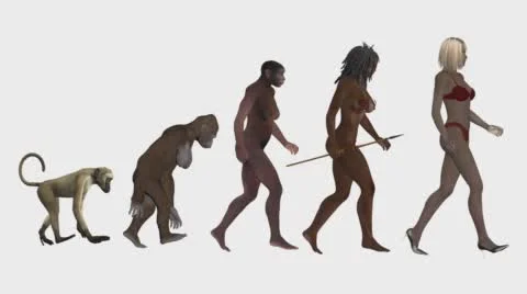Women's evolution, the classic scheme, animation, white background Stock Footage 58469747