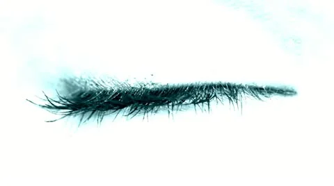 Women's eye blue Video stock 11024093