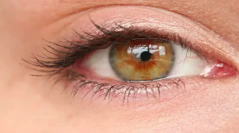 Women's eye close up Stock Footage 11024061