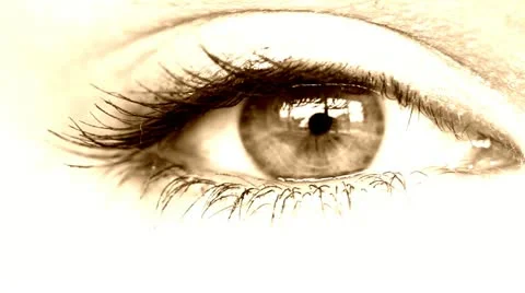 Women's eye sepia Stock Footage 11024101