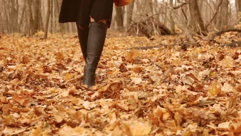 Women's feet in high boots walk through the fallen autumn leaves Stock Footage 269141853