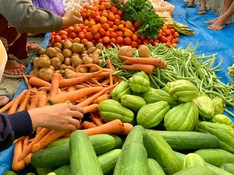 Women's hands with assorted vegetables such as tomatoes, potatoes, carrots, p Stock Photos