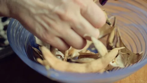 Women's hands clean dried beans Stock Footage 97836234