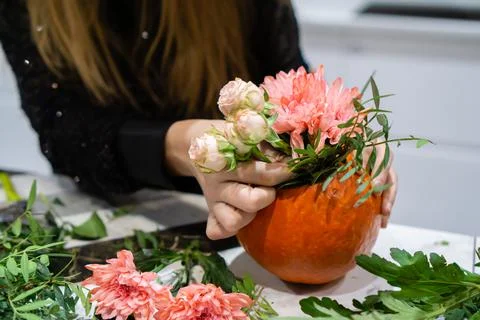 Women's hands create a floral composition in a carved pumpkin. Halloween Decor Stock Photos