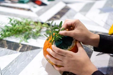 Women's hands create a floral composition in a carved pumpkin. Halloween Decor 写真素材