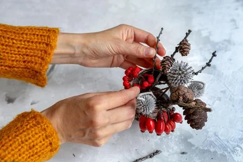 Women's hands creating a Christmas composition from natural materials. The idea Stock Photos