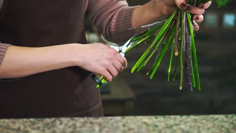 Women's hands cut the stems of flowers. Close up. Stock-Footage 101498161