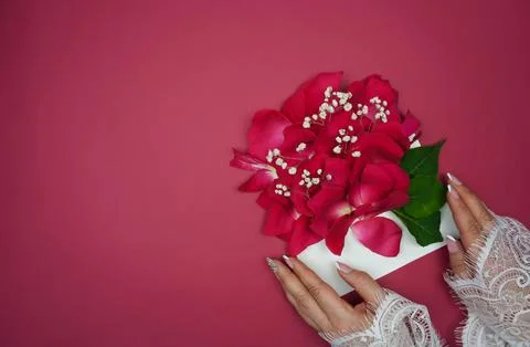 Women's hands hold an envelope with rose petals Stock Photos