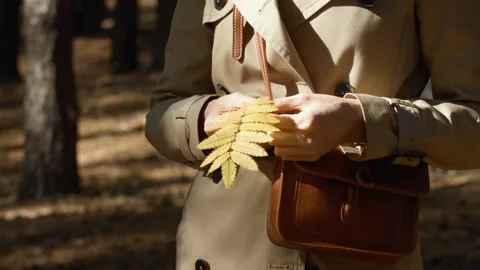 Women's hands hold a fallen yellow autumn leaf. Autumn inspiration. Stock Footage 285956780