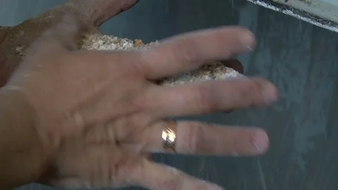 Women's hands hold grinded wheat grains Stock Footage 78570351