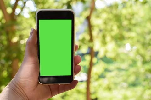 Women's hands hold a smartphone with an empty screen in nature. Chromakey. Place Stock Photos