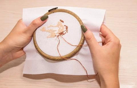 Women's hands hold a white canvas in a hoop with a needle and embroider with  Stock Photos