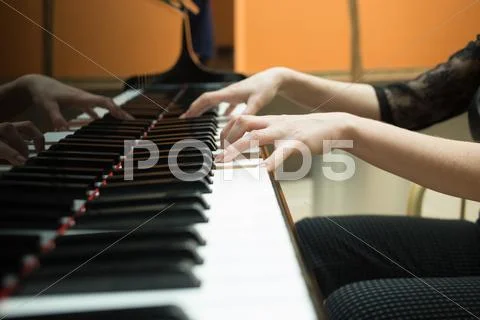 Women's Hands On The Keyboard Of Piano. Girl Plays Music