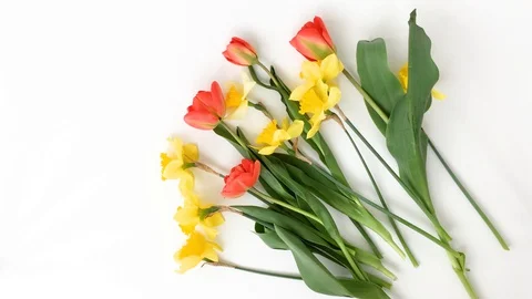 Women's hands make a bouquet of spring flowers Stock Footage 128060532