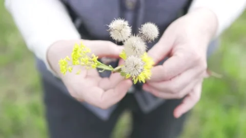 Women's hands make a small bouquet of wild flowers Stock Footage 130897561