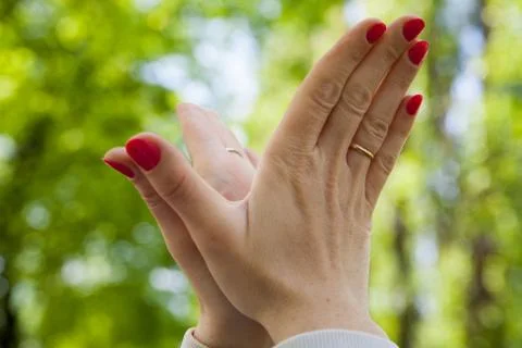 Women's hands Stock Photos