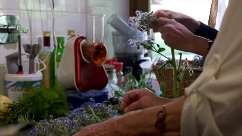 Women's hands preparing borage as a vegetable dish. Video stock 317188192