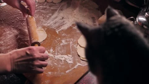Women's hands roll out dough. A cat watches the process. Stock Footage 288157867