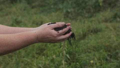 Women's hands sift through the earth with love. Stock Footage 143655233