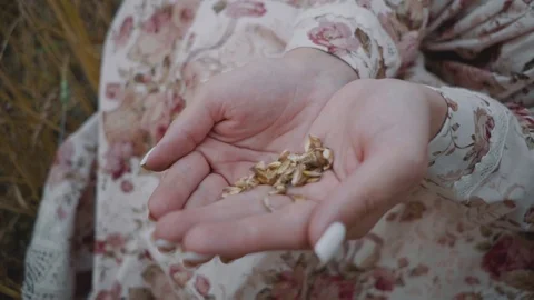 Women's hands sort Stock Footage 116566875