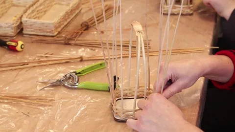 Women's hands start weaving a basket from willow Stock Footage 313808634